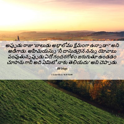 Picture 06 - 2 సమూయేలు 18:29 TELIRV - అప్పుడు రాజు - Bible Verse Picture