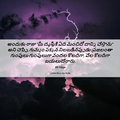 Picture 06 - 2 సమూయేలు 18:4 TELIRV - అందుకు రాజు “మీ - Bible Verse Picture