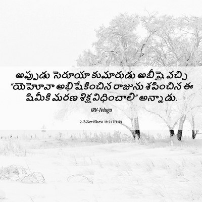 Picture 06 - 2 సమూయేలు 19:21 TELIRV - అప్పుడు సెరూయా - Bible Verse Picture