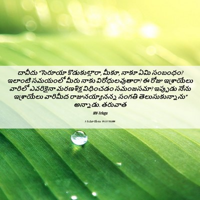 Picture 06 - 2 సమూయేలు 19:22 TELIRV - దావీదు “సెరూయా - Bible Verse Picture