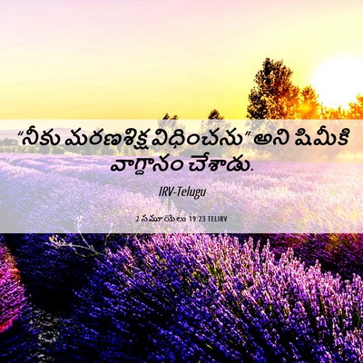 Picture 06 - 2 సమూయేలు 19:23 TELIRV - “నీకు మరణశిక్ష - Bible Verse Picture