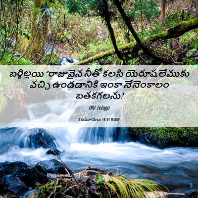 Picture 06 - 2 సమూయేలు 19:34 TELIRV - బర్జిల్లయి - Bible Verse Picture
