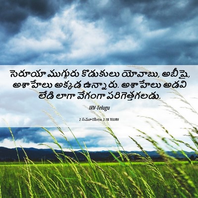 Picture 06 - 2 సమూయేలు 2:18 TELIRV - సెరూయా ముగ్గురు - Bible Verse Picture