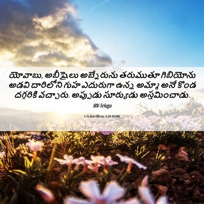 Picture 06 - 2 సమూయేలు 2:24 TELIRV - యోవాబు, అబీషైలు - Bible Verse Picture