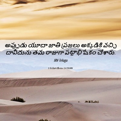 Picture 06 - 2 సమూయేలు 2:4 TELIRV - అప్పుడు యూదా జాతి - Bible Verse Picture