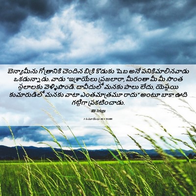 Picture 06 - 2 సమూయేలు 20:1 TELIRV - బెన్యామీను - Bible Verse Picture