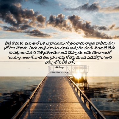 Picture 06 - 2 సమూయేలు 20:21 TELIRV - బిక్రి కొడుకు షెబ - Bible Verse Picture