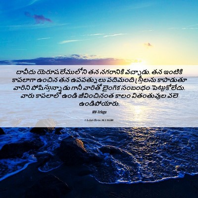 Picture 06 - 2 సమూయేలు 20:3 TELIRV - దావీదు - Bible Verse Picture