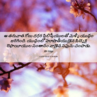 Picture 06 - 2 సమూయేలు 21:18 TELIRV - ఆ తరువాత గోబు - Bible Verse Picture