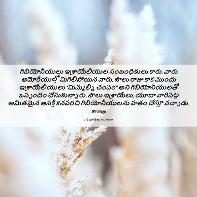 Picture 06 - 2 సమూయేలు 21:2 TELIRV - గిబియోనీయులు - Bible Verse Picture