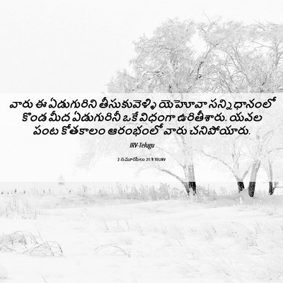 Picture 06 - 2 సమూయేలు 21:9 TELIRV - వారు ఈ ఏడుగురిని - Bible Verse Picture
