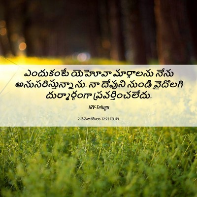 Picture 06 - 2 సమూయేలు 22:22 TELIRV - ఎందుకంటే యెహోవా - Bible Verse Picture