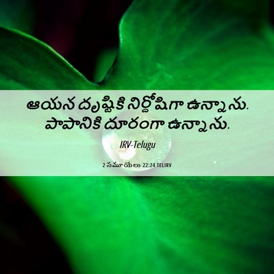 Picture 06 - 2 సమూయేలు 22:24 TELIRV - ఆయన దృష్టికి - Bible Verse Picture