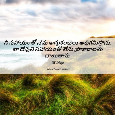 Picture 06 - 2 సమూయేలు 22:30 TELIRV - నీ సహాయంతో నేను - Bible Verse Picture
