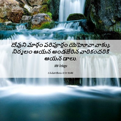 Picture 06 - 2 సమూయేలు 22:31 TELIRV - దేవుని మార్గం - Bible Verse Picture
