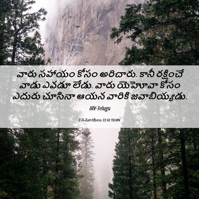 Picture 06 - 2 సమూయేలు 22:42 TELIRV - వారు సహాయం కోసం - Bible Verse Picture