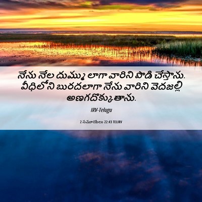Picture 06 - 2 సమూయేలు 22:43 TELIRV - నేను నేల దుమ్ము - Bible Verse Picture