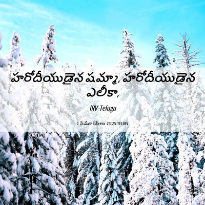 Picture 06 - 2 సమూయేలు 23:25 TELIRV - హరోదీయుడైన షమ్మా, - Bible Verse Picture