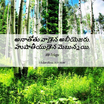 Picture 06 - 2 సమూయేలు 23:27 TELIRV - అనాతోతు వాడైన - Bible Verse Picture