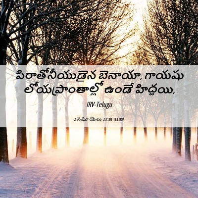 Picture 06 - 2 సమూయేలు 23:30 TELIRV - పిరాతోనీయుడైన - Bible Verse Picture