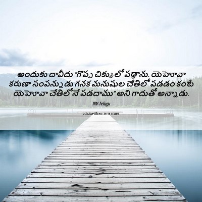 Picture 06 - 2 సమూయేలు 24:14 TELIRV - అందుకు దావీదు - Bible Verse Picture