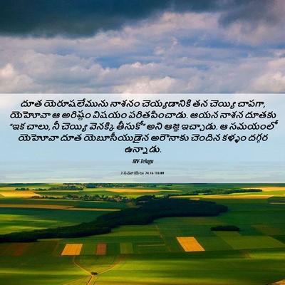 Picture 06 - 2 సమూయేలు 24:16 TELIRV - దూత యెరూషలేమును - Bible Verse Picture