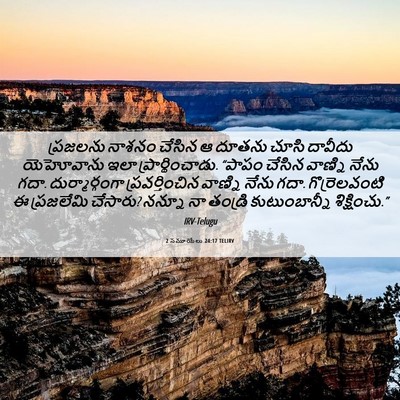 Picture 06 - 2 సమూయేలు 24:17 TELIRV - ప్రజలను నాశనం - Bible Verse Picture