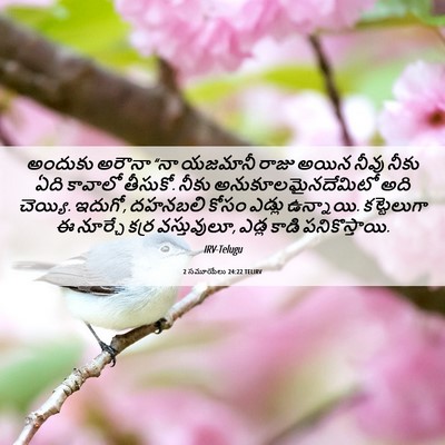 Picture 06 - 2 సమూయేలు 24:22 TELIRV - అందుకు అరౌనా “నా - Bible Verse Picture