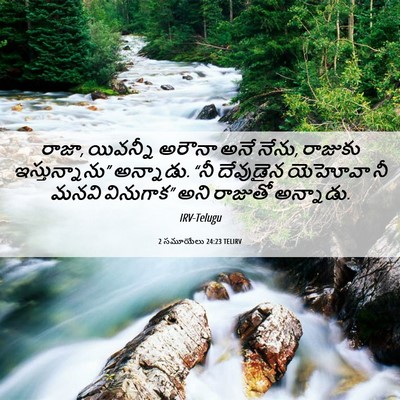 Picture 06 - 2 సమూయేలు 24:23 TELIRV - రాజా, యివన్నీ - Bible Verse Picture