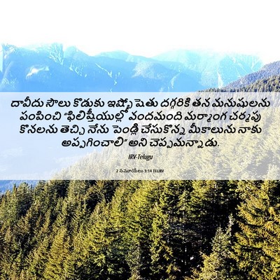 Picture 06 - 2 సమూయేలు 3:14 TELIRV - దావీదు సౌలు - Bible Verse Picture