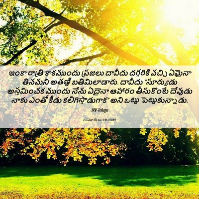 Picture 06 - 2 సమూయేలు 3:35 TELIRV - ఇంకా రాత్రి - Bible Verse Picture