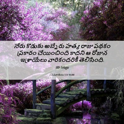 Picture 06 - 2 సమూయేలు 3:37 TELIRV - నేరు కొడుకు - Bible Verse Picture
