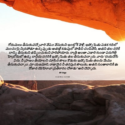 Picture 06 - 2 సమూయేలు 4:6 TELIRV - గోదుమలు - Bible Verse Picture