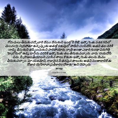 Picture 06 - 2 సమూయేలు 4:7 TELIRV - గోదుమలు - Bible Verse Picture