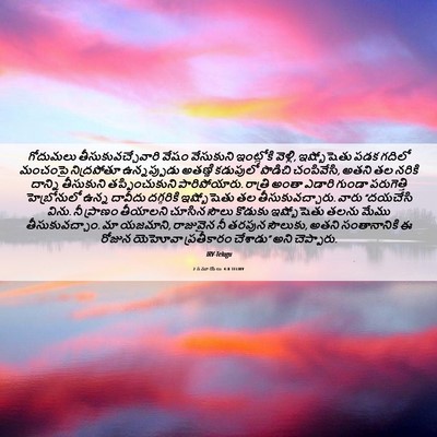 Picture 06 - 2 సమూయేలు 4:8 TELIRV - గోదుమలు - Bible Verse Picture