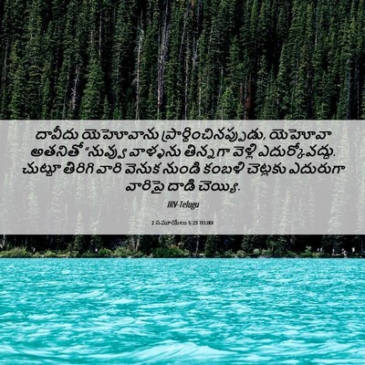 Picture 06 - 2 సమూయేలు 5:23 TELIRV - దావీదు యెహోవాను - Bible Verse Picture