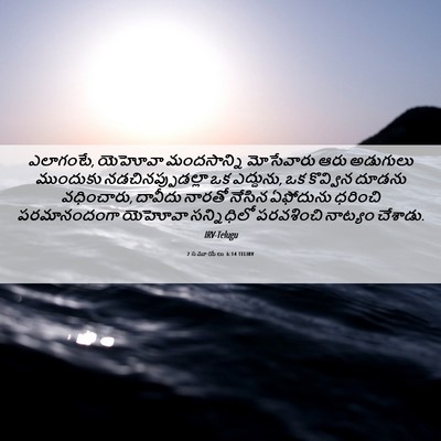 Picture 06 - 2 సమూయేలు 6:14 TELIRV - ఎలాగంటే, యెహోవా - Bible Verse Picture