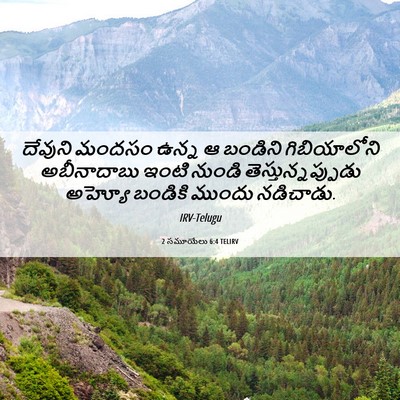 Picture 06 - 2 సమూయేలు 6:4 TELIRV - దేవుని మందసం ఉన్న - Bible Verse Picture