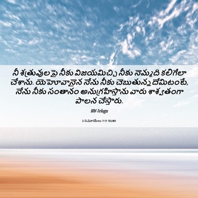 Picture 06 - 2 సమూయేలు 7:11 TELIRV - నీ శత్రువులపై - Bible Verse Picture