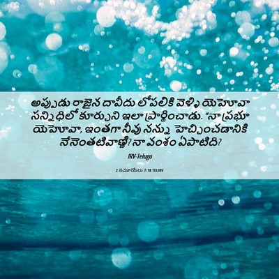 Picture 06 - 2 సమూయేలు 7:18 TELIRV - అప్పుడు రాజైన - Bible Verse Picture