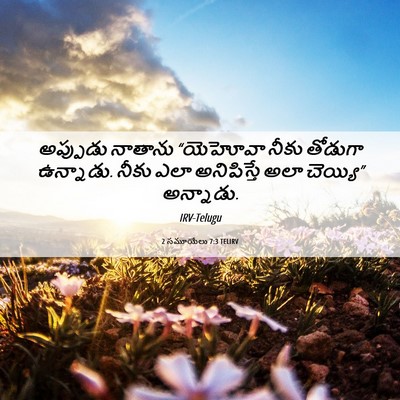 Picture 06 - 2 సమూయేలు 7:3 TELIRV - అప్పుడు నాతాను - Bible Verse Picture