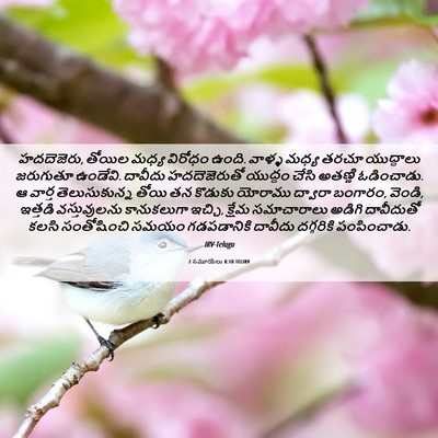 Picture 06 - 2 సమూయేలు 8:10 TELIRV - హదదెజెరు, తోయిల - Bible Verse Picture