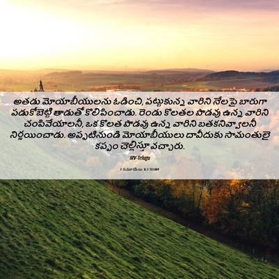 Picture 06 - 2 సమూయేలు 8:2 TELIRV - అతడు మోయాబీయులను - Bible Verse Picture