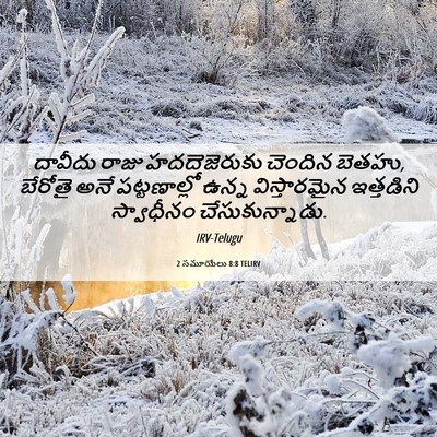 Picture 06 - 2 సమూయేలు 8:8 TELIRV - దావీదు రాజు - Bible Verse Picture