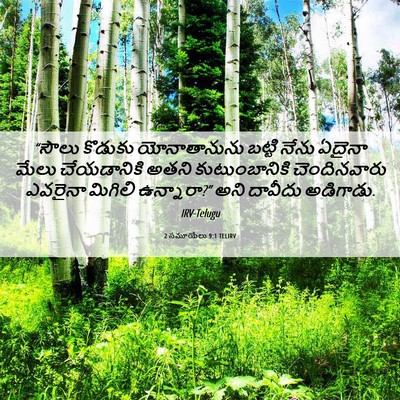 Picture 06 - 2 సమూయేలు 9:1 TELIRV - “సౌలు కొడుకు - Bible Verse Picture