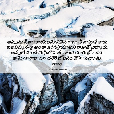 Picture 06 - 2 సమూయేలు 9:11 TELIRV - అప్పుడు సీబా “నా - Bible Verse Picture
