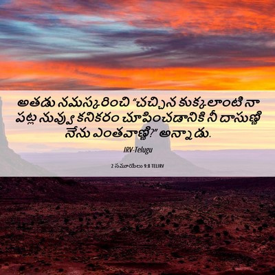 Picture 06 - 2 సమూయేలు 9:8 TELIRV - అతడు నమస్కరించి - Bible Verse Picture