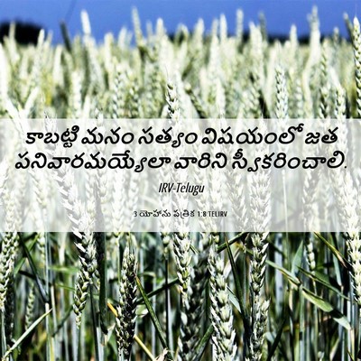 Picture 06 - 3 యోహాను పత్రిక 1:8 TELIRV - కాబట్టి మనం సత్యం - Bible Verse Picture