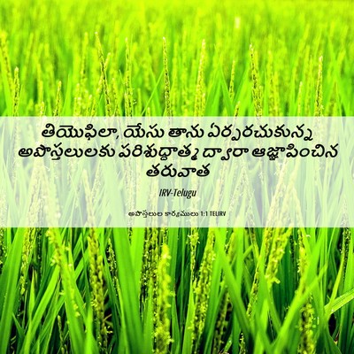Picture 06 - అపొస్తలుల కార్యములు 1:1 TELIRV - తియొఫిలా, యేసు - Bible Verse Picture