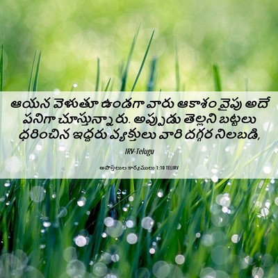 Picture 06 - అపొస్తలుల కార్యములు 1:10 TELIRV - ఆయన వెళుతూ ఉండగా - Bible Verse Picture